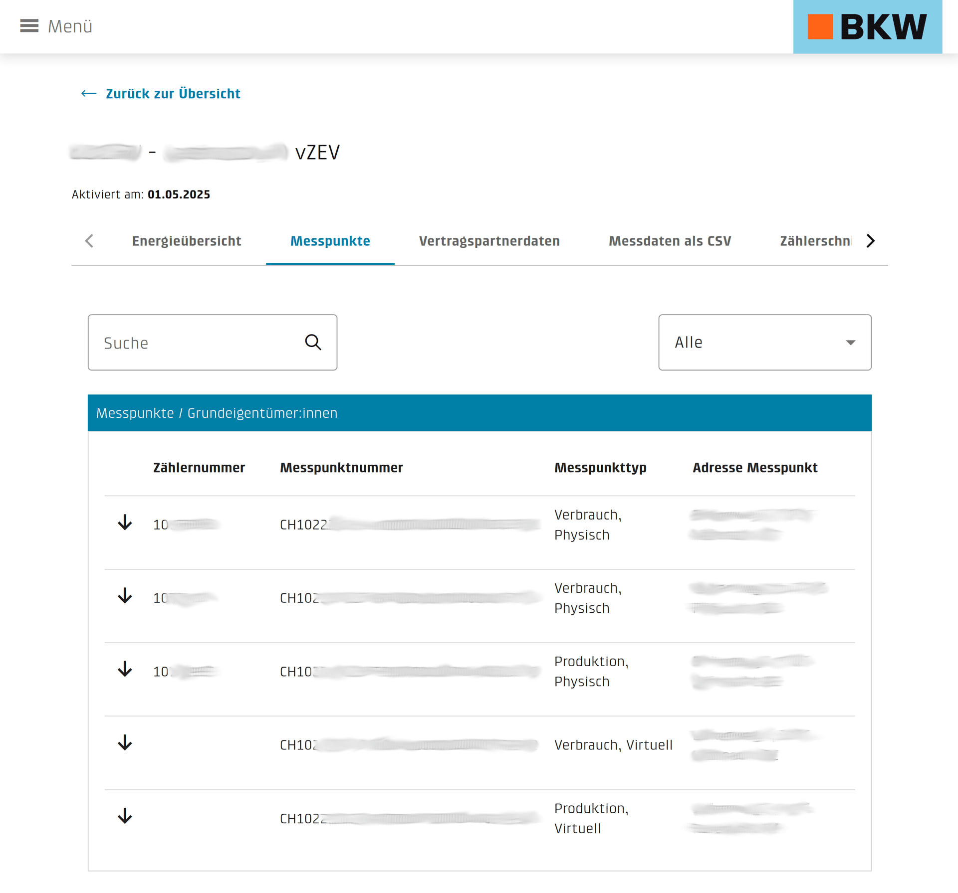 Energieportal Messpunkte-Tab mit Zählernummer, Messpunktnummer und Messpunkttyp